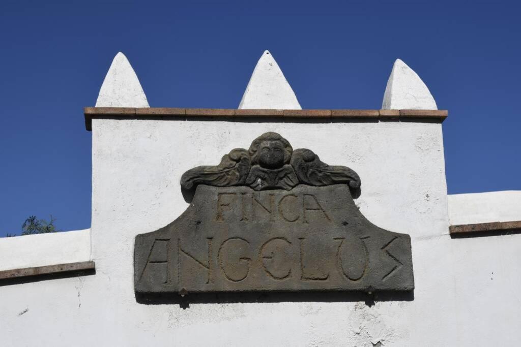 Finca Angelus Apartment Syrah With Amazing Views La Matanza De Acentejo Ngoại thất bức ảnh