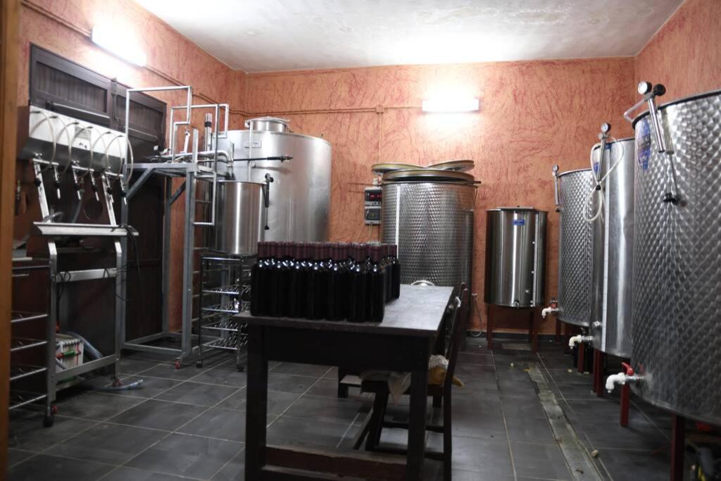 Finca Angelus Apartment Syrah With Amazing Views La Matanza De Acentejo Ngoại thất bức ảnh