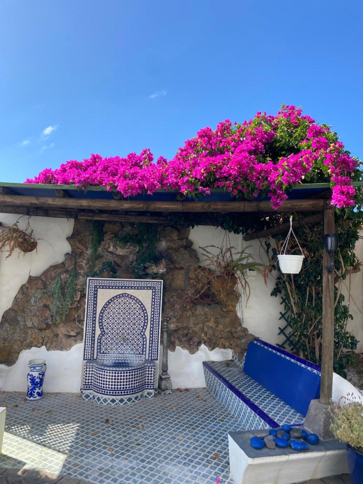 Finca Angelus Apartment Syrah With Amazing Views La Matanza De Acentejo Ngoại thất bức ảnh