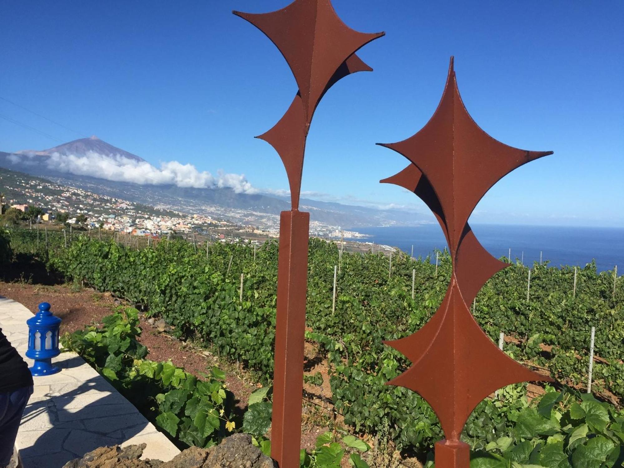 Finca Angelus Apartment Syrah With Amazing Views La Matanza De Acentejo Ngoại thất bức ảnh