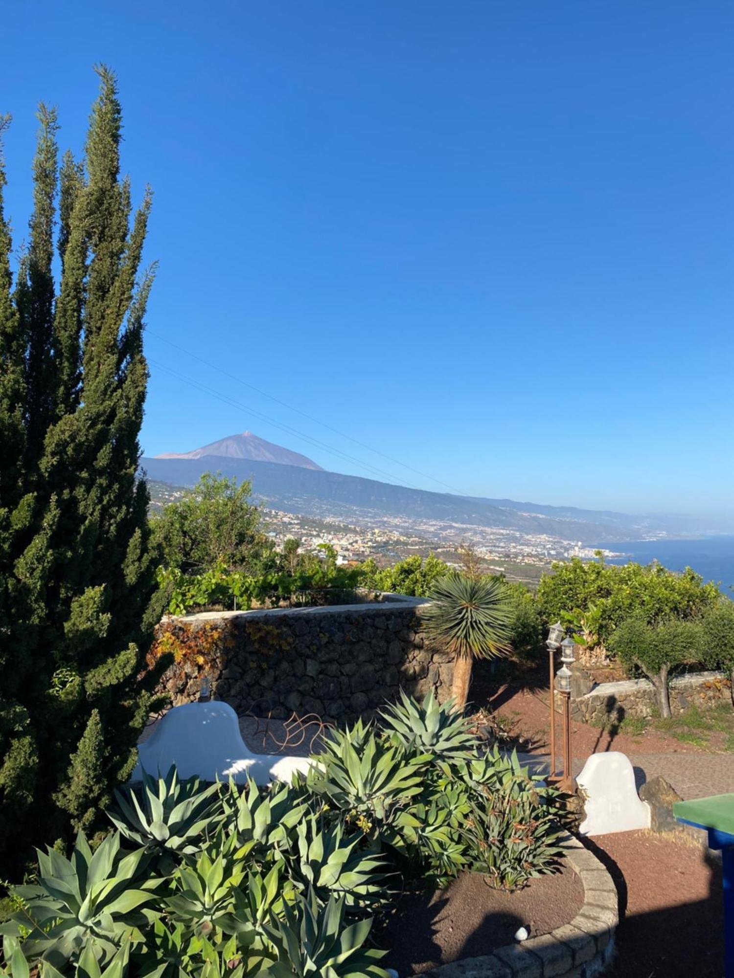 Finca Angelus Apartment Syrah With Amazing Views La Matanza De Acentejo Ngoại thất bức ảnh